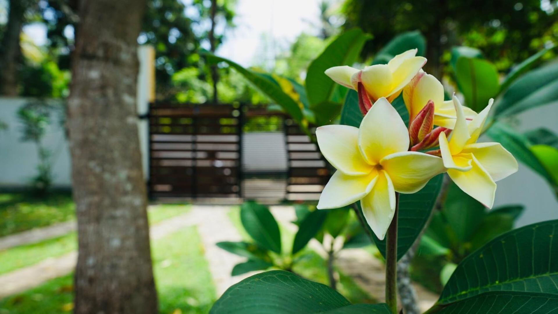 Villa 2A Matara Luaran gambar