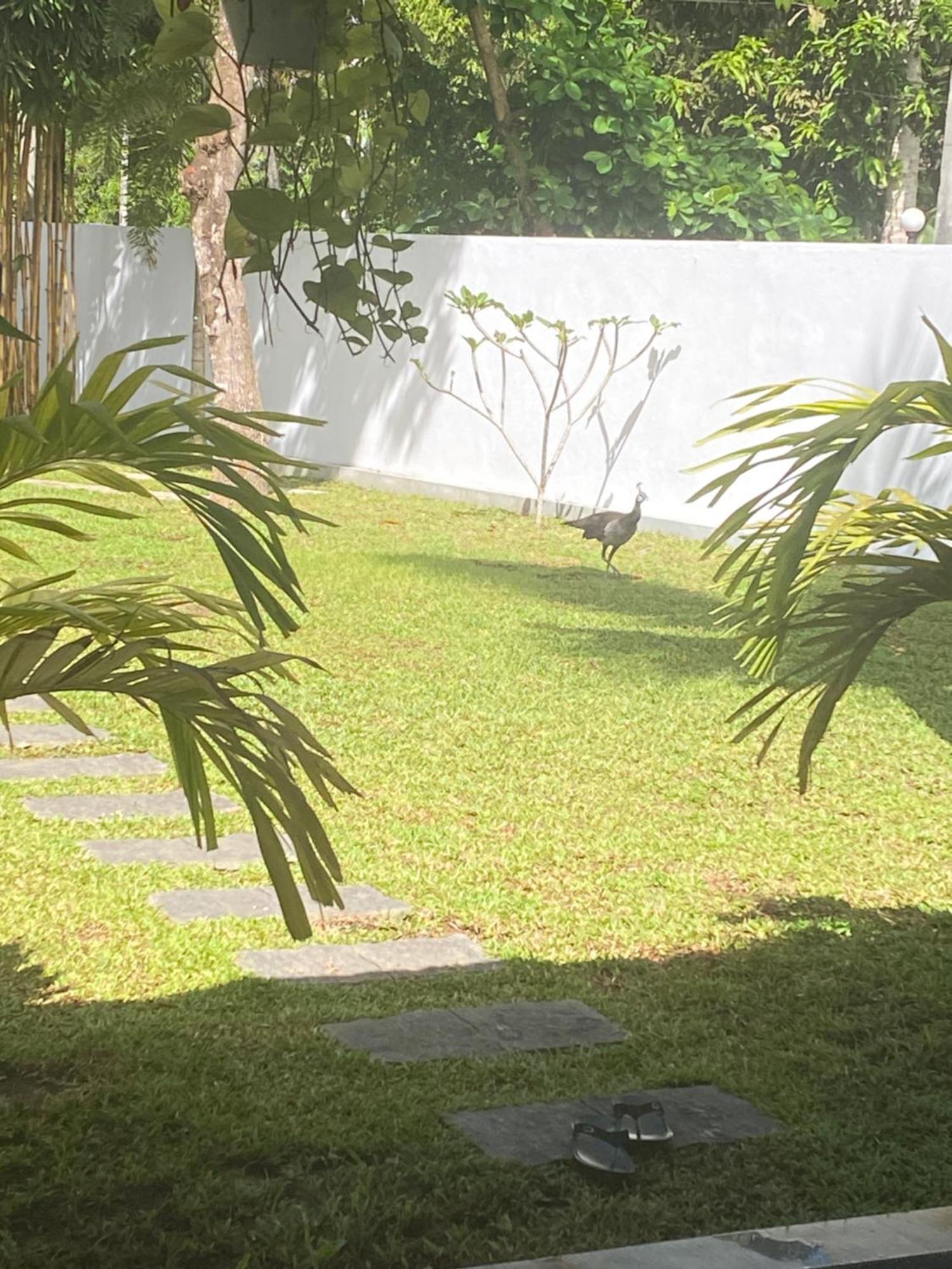 Villa 2A Matara Luaran gambar