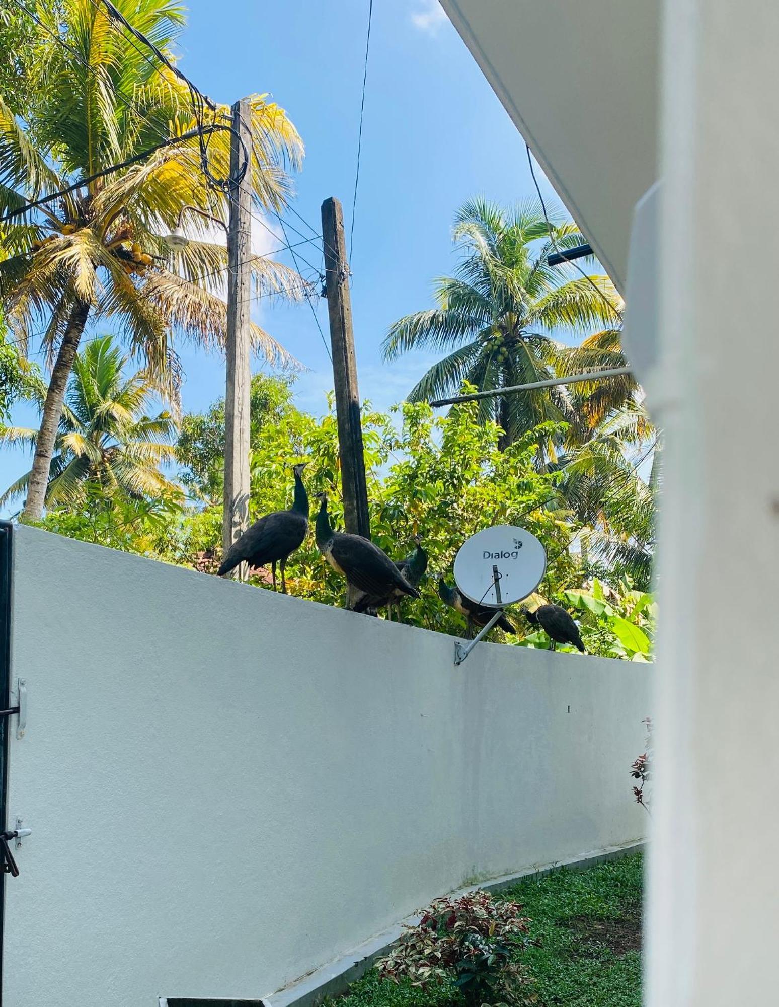 Villa 2A Matara Luaran gambar