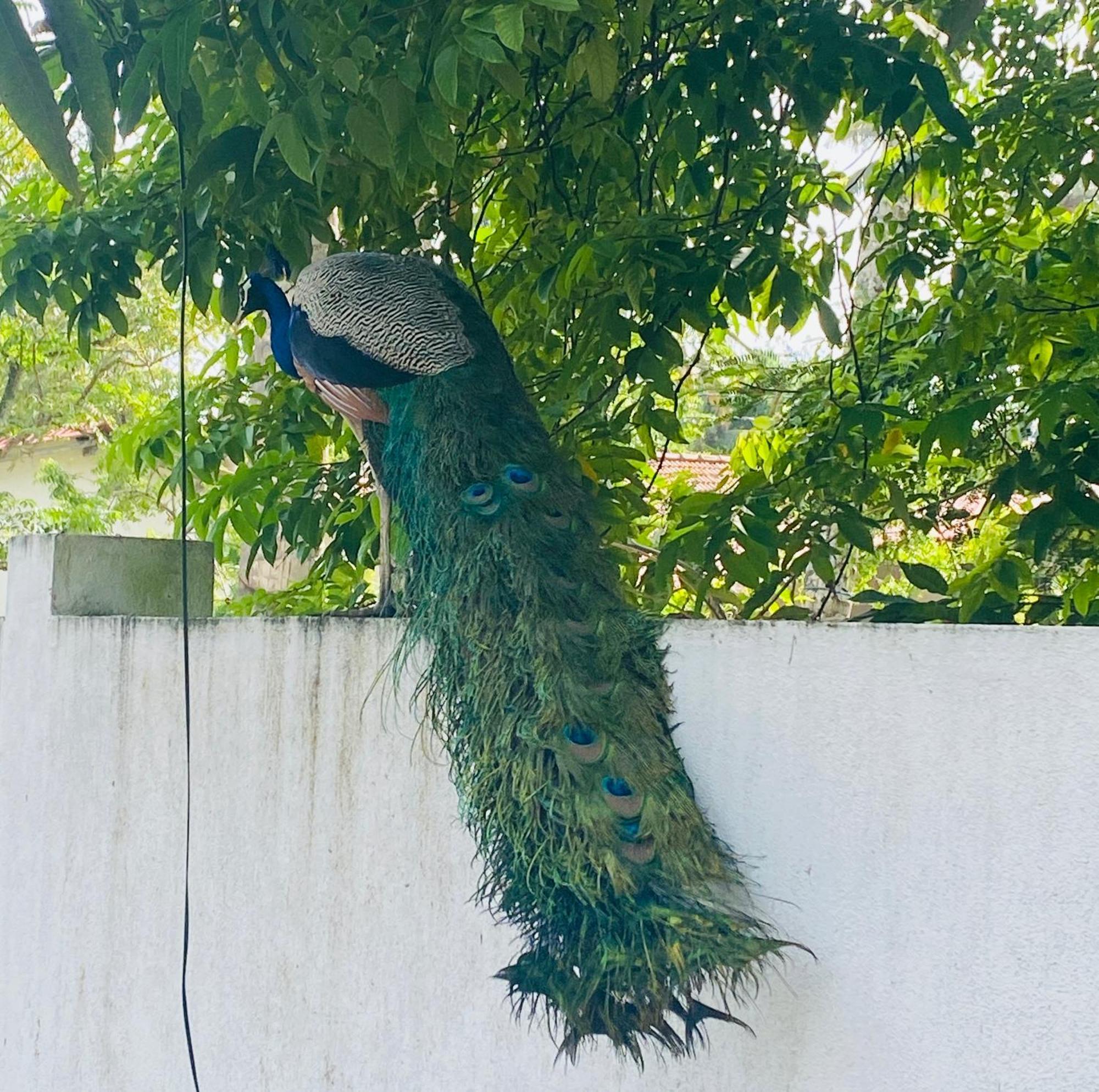 Villa 2A Matara Luaran gambar