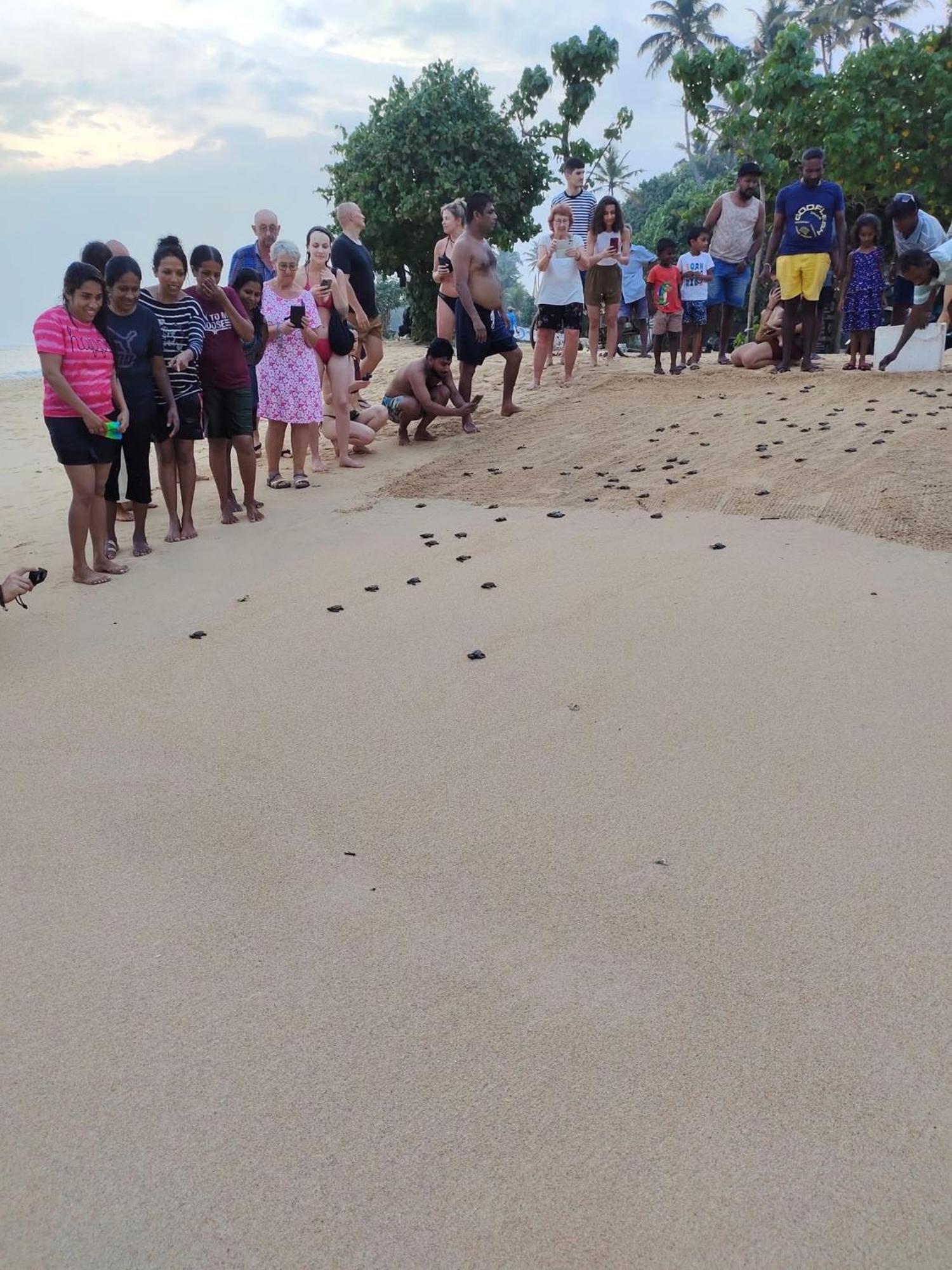 Villa 2A Matara Luaran gambar