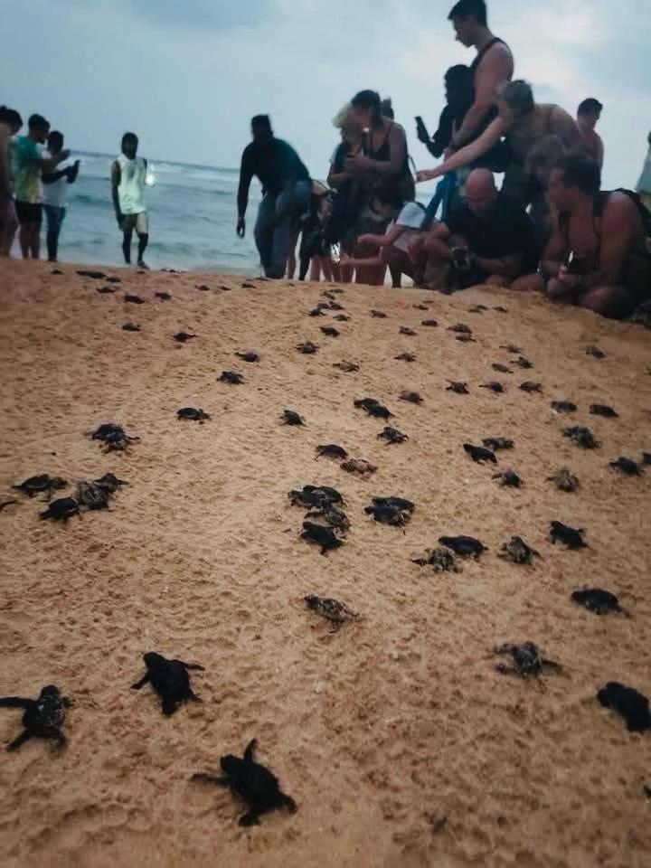 Villa 2A Matara Luaran gambar